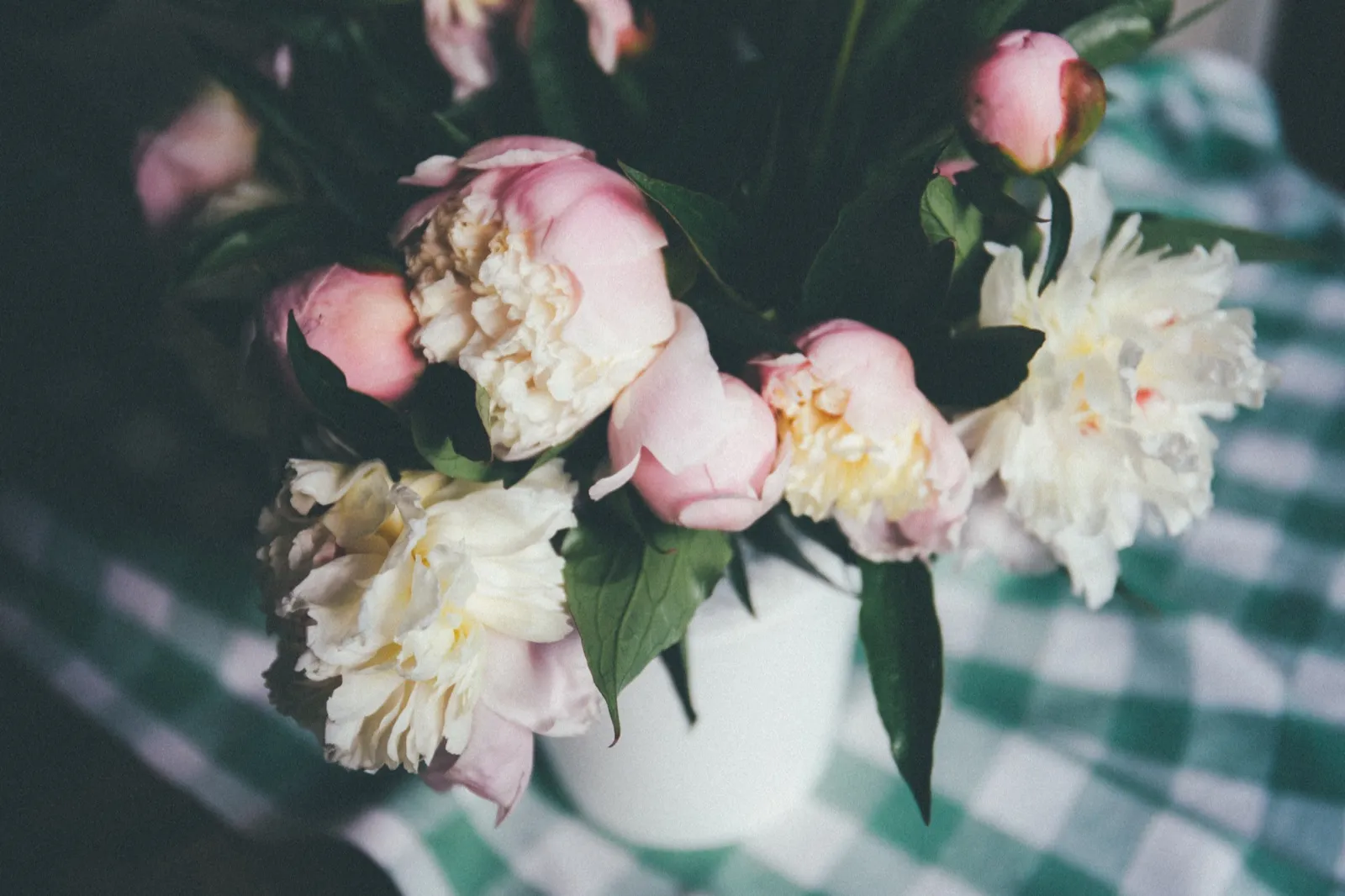Pale pink and cream peonies in a white vase